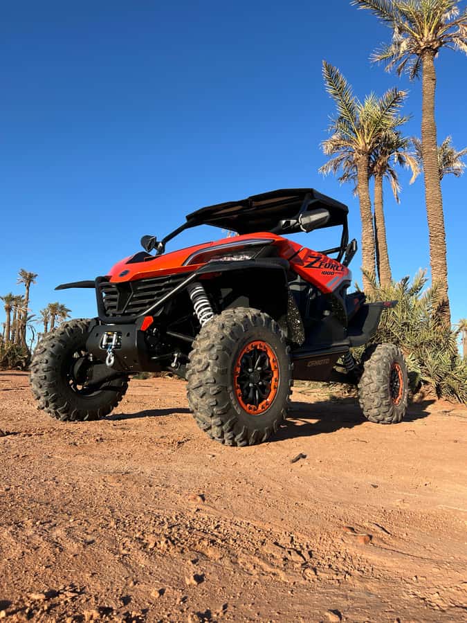 Marrakech : Palm Grove and jbilat Desert Buggy 1000cc Tour - Mint tea in a traditional villa