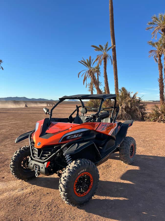 Marrakech : Palm Grove and jbilat Desert Buggy 1000cc Tour - What the $79 price includes