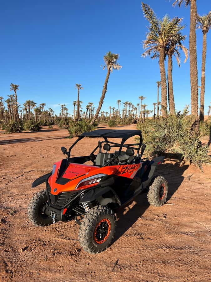 Marrakech : Palm Grove and jbilat Desert Buggy 1000cc Tour - The strongest points from the guest feedback