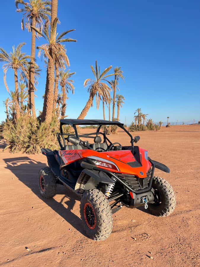 Marrakech : Palm Grove and jbilat Desert Buggy 1000cc Tour - Should you book this buggy tour?
