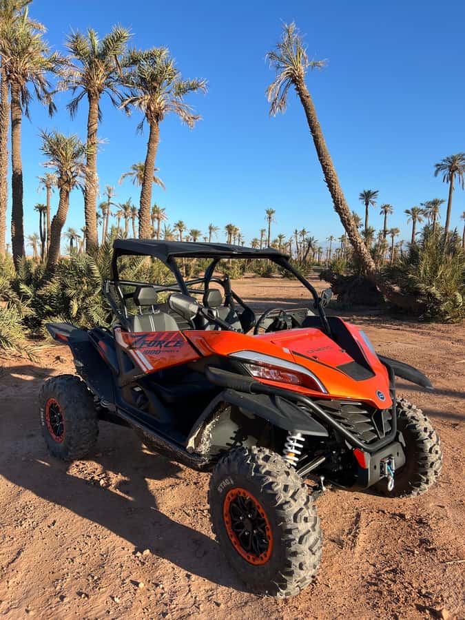 Marrakech : Palm Grove and jbilat Desert Buggy 1000cc Tour - Sharing a 1000cc buggy with a partner