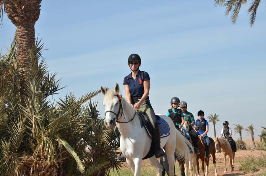 Marrakech: Palm Grove Horseback Riding Tour - Key points before you book