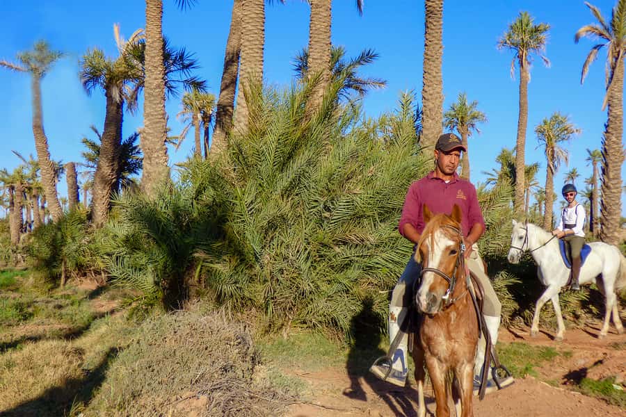 Marrakech: Palm Grove Horseback Riding Tour - The Palmeraie ride and the one-hour timing
