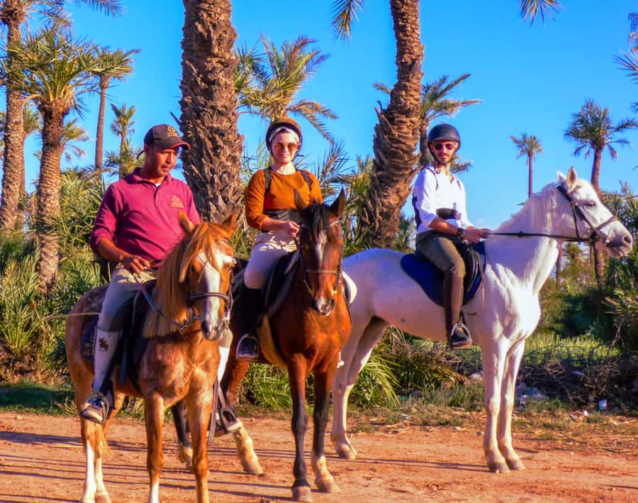 Marrakech: Palm Grove Horseback Riding Tour - How much value do you get for $44?
