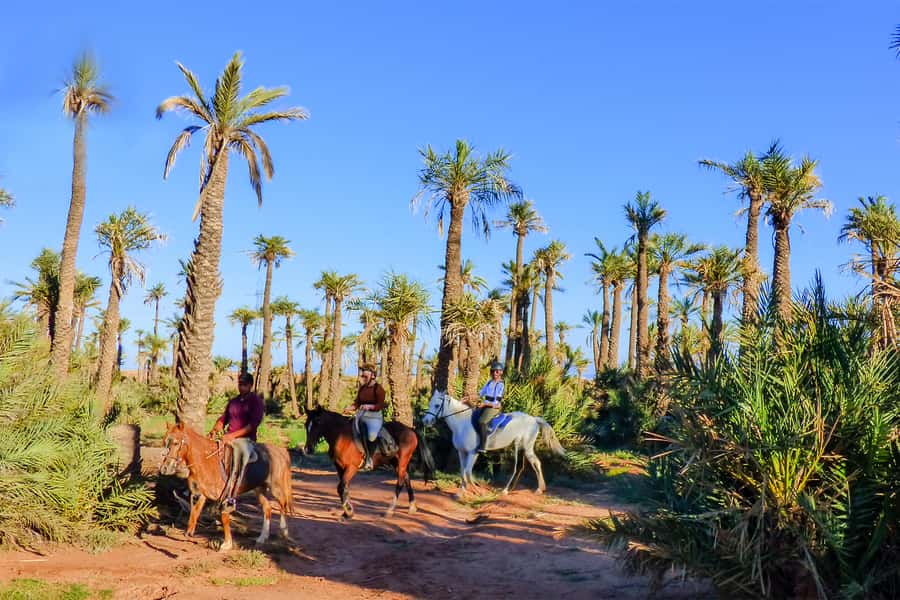 Marrakech: Palm Grove Horseback Riding Tour - Meeting the horses and choosing your pace