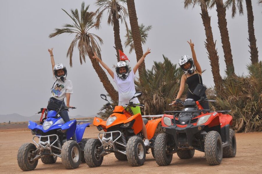 Marrakech: Palm Grove Quad Bike Tour - Who will enjoy this ride most