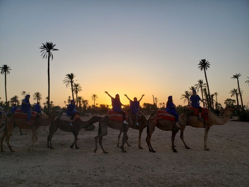 Marrakech palm grove: Sunset camel ride - Mint tea inside a Berber home