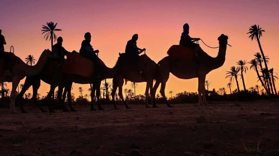 Marrakech palm grove: Sunset camel ride - Meeting your camel and dressing for the ride