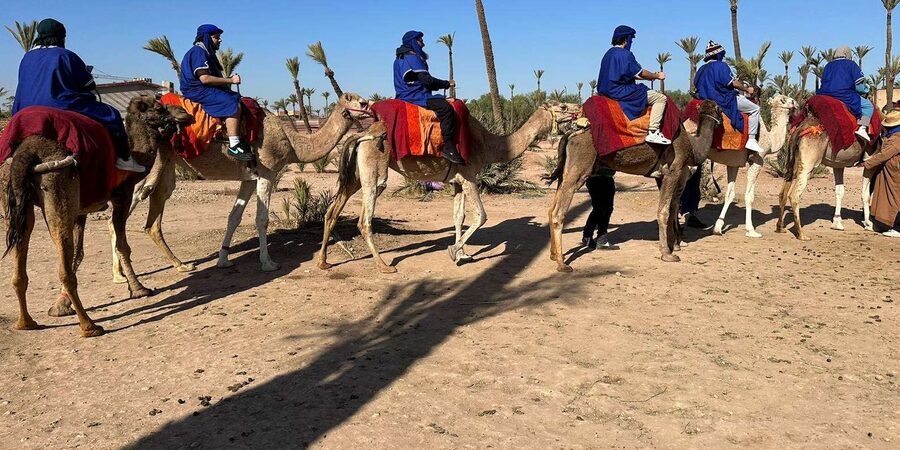 Marrakech Palmeraie Camel Ride Adventure - FAQ