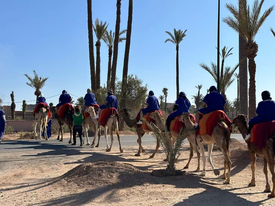 Marrakech Palmeraie Camel Ride Adventure - Leaving Marrakech for the Palmeraie