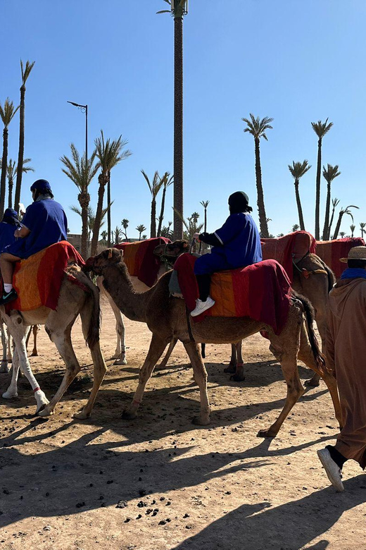 Marrakech Palmeraie Camel Ride Adventure - Tea with a village welcome