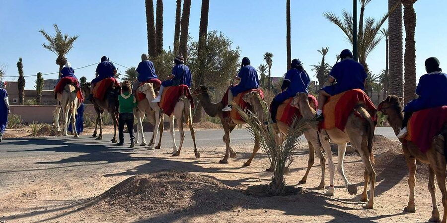 Marrakech Palmeraie Camel Ride Adventure - Is $26 good value?