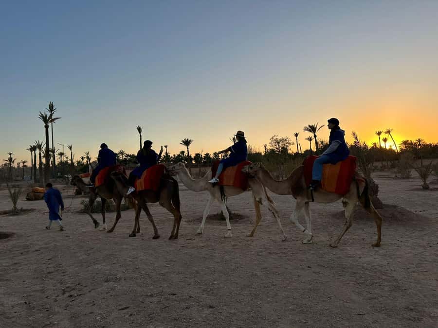 Marrakech Palmeraie Camel Ride Adventure - Meeting the handlers and mounting your camel
