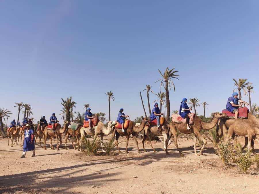 Marrakech Palmeraie: Camel Ride at Sunset - Mint tea and small personal touches