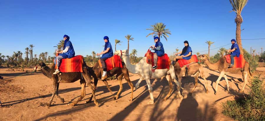 Marrakech Palmeraie: Camel Ride at Sunset - What the $20 price really covers