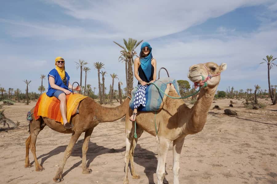 Marrakech Palmeraie: Camel Ride at Sunset - Who should book this experience