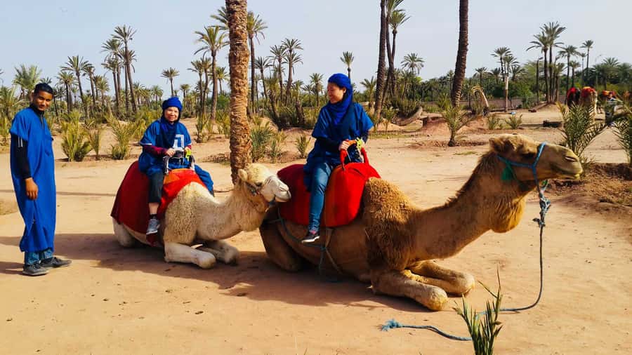 Marrakech Palmeraie: Camel Ride & Quad Bike Experience - From Marrakech to the palm groves