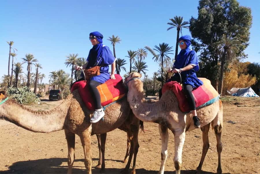 Marrakech Palmeraie: Camel Ride & Quad Bike Experience - Mint tea, local homes, and a slower pause