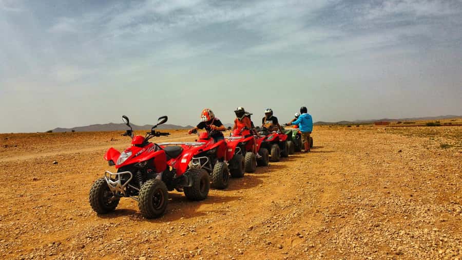 Marrakech: Palmeraie Guided Quad Biking Tour with Tea - Who should book, and who should think twice