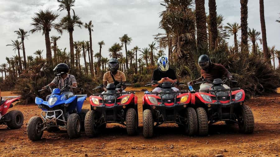 Marrakech: Palmeraie Guided Quad Biking Tour with Tea - Guides, group pace, and the human side