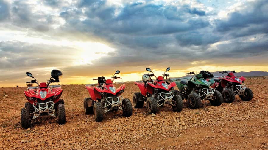 Marrakech: Palmeraie Guided Quad Biking Tour with Tea - Pickup from your riad and the start of the morning