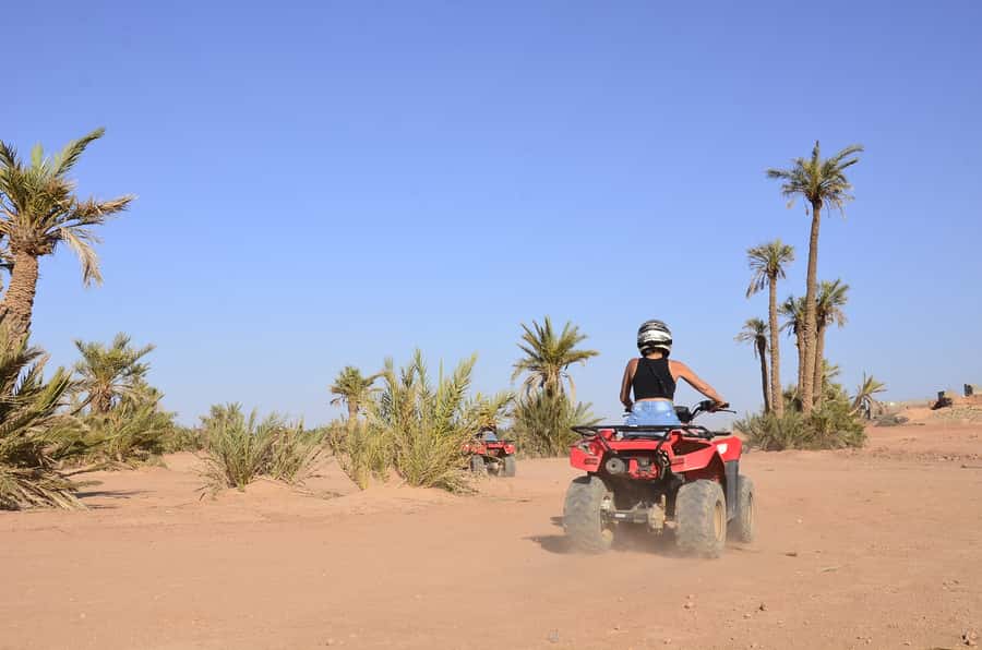 Marrakech: Palmeraie Guided Quad Tour with Tea Break - Moroccan tea, bread, and olives after the riding