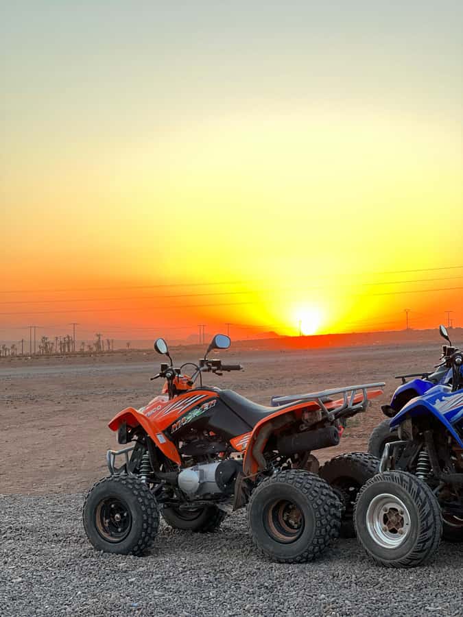 Marrakech: Palmeraie Private Quad Bike Experience - The real value of a $15 half-day outing