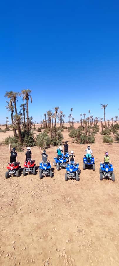 Marrakech: Palmeraie Private Quad Bike Experience - Who should book this Palmeraie ride?