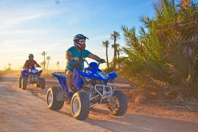 Marrakech: Palmeraie Quad Bike Desert Adventure - Palm groves, village views, and the tea stop