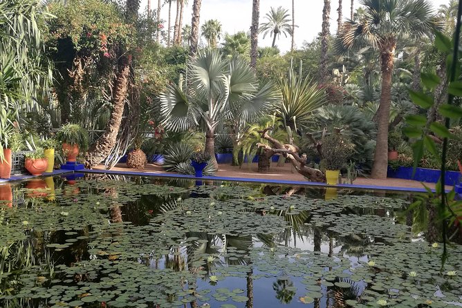 Marrakech: Private Guided Half-Day City Tour - Mellah and Bab Agnaou: two windows into royal Marrakech