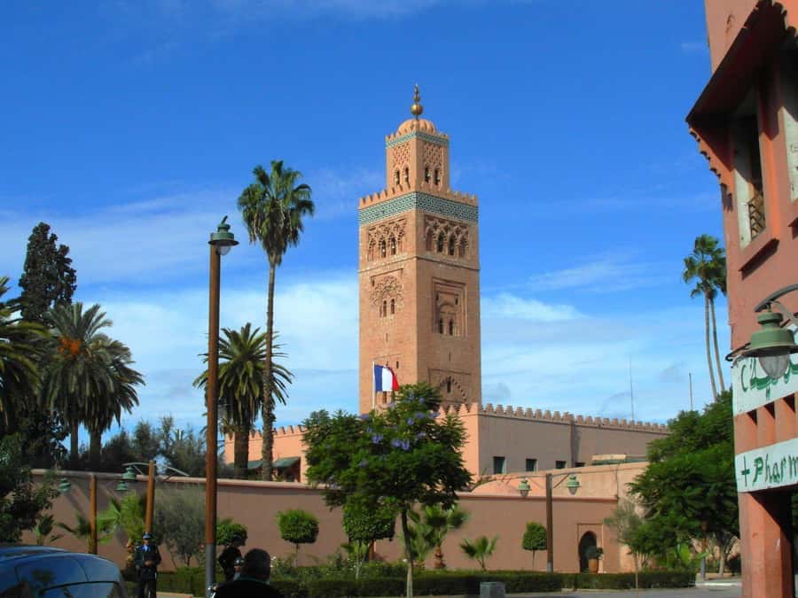 Marrakech: Private Half- or Full-Day Tour with Guide - Food stalls, craft lanes, and everyday Medina life