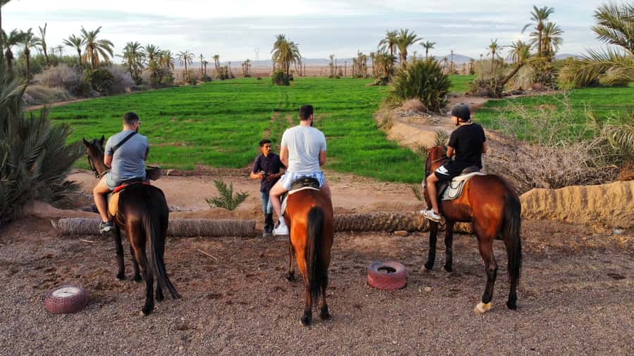 Marrakech: Private Horseback Tour in the Palm Grove with Tea - Riding out from Marrakech into the Palmeraie