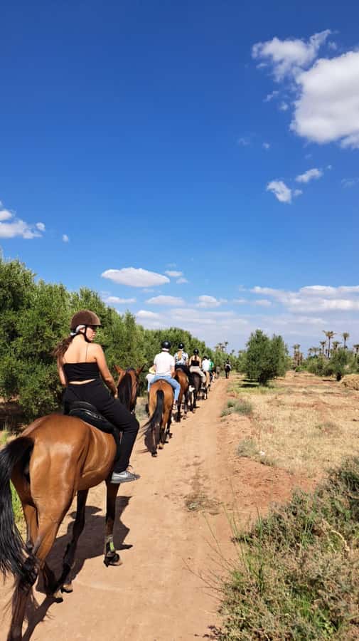 Marrakech: Private Horseback Tour in the Palm Grove with Tea - Choosing your pace, from a calm walk to a gallop