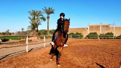 Private Horseback Tour in the Palm Grove with Tea