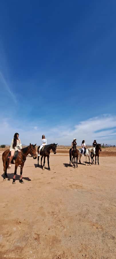 Marrakech: Private Horseback Tour in the Palm Grove with Tea - A quiet mint tea stop among the horses