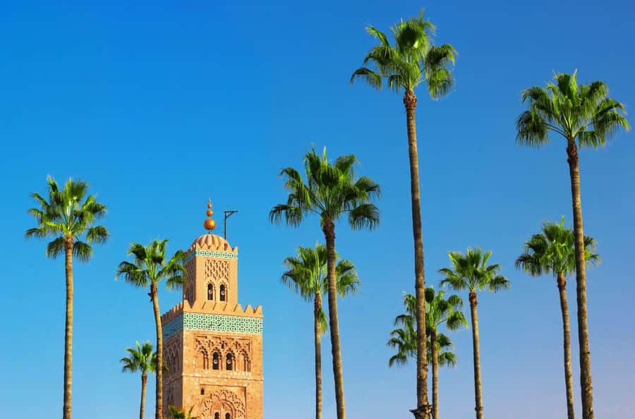 Marrakech Private Medina Tour: Bahia Palace & Ben Youssef - Starting at Jemaa el-Fna and entering the souks