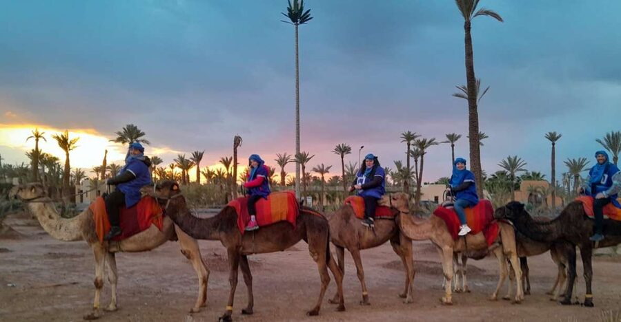 Marrakech: Private Palm Grove Camel and Quad Bike Ride - A One-Hour Camel Ride Through the Palms