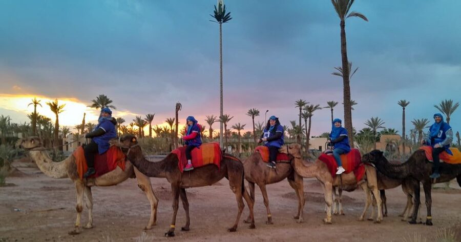 Marrakech: Private Palm Grove Camel and Quad Bike Ride - Sunset Photos and the Best Time to Go