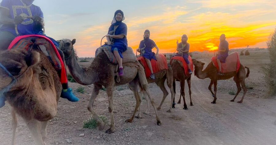 Marrakech: Private Palm Grove Camel and Quad Bike Ride - What the Private Format Adds at $58
