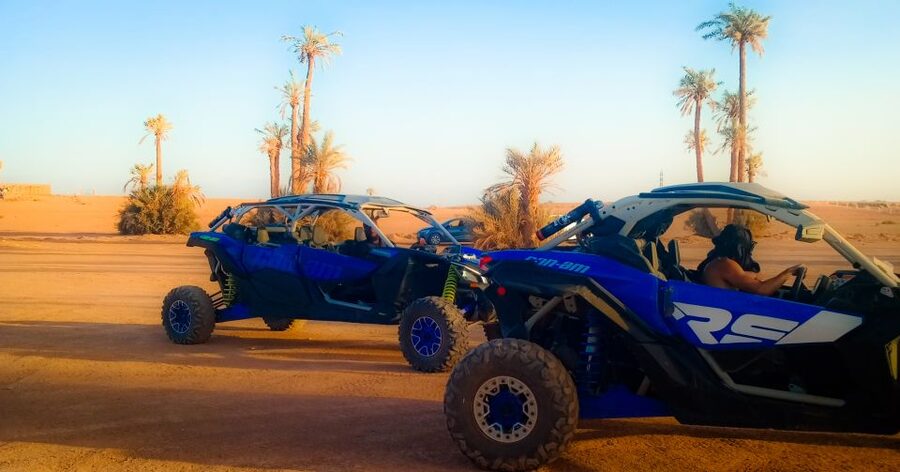 Marrakech: Private Palm Grove Camel and Quad Bike Ride - The Human Side: Jallal, Younes, and Helpful Service
