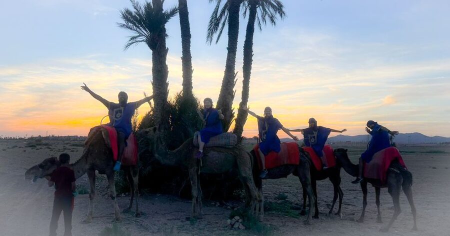 Marrakech: Private Palm Grove Camel and Quad Bike Ride - Should You Book the Camel and Quad Ride?