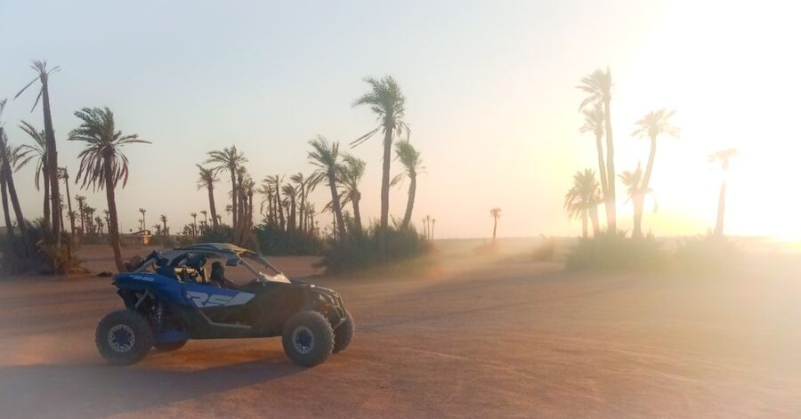 Marrakech: Private Palm Grove Camel and Quad Bike Ride - Tea at a Local Berber Home