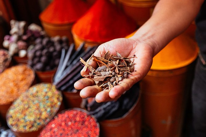 Marrakech PRIVATE TOUR With Locals: Highlights & Hidden Gems - Who should book this private Marrakech walk?