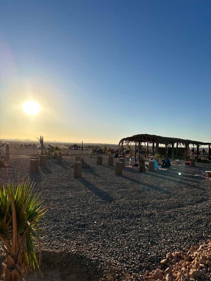 Marrakech: quad Adventure at the Dunes of the palmery desert - Who will enjoy this quad tour most
