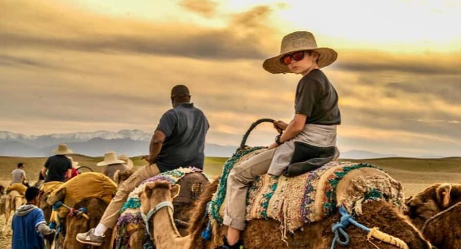 Marrakech: Quad Bike and Camel, Dinner Show in Agafay Desert - Key points to know before booking