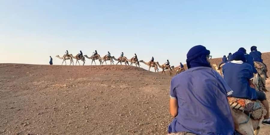 Marrakech: Quad Bike and Camel, Dinner Show in Agafay Desert - Why the $20 price can be good value