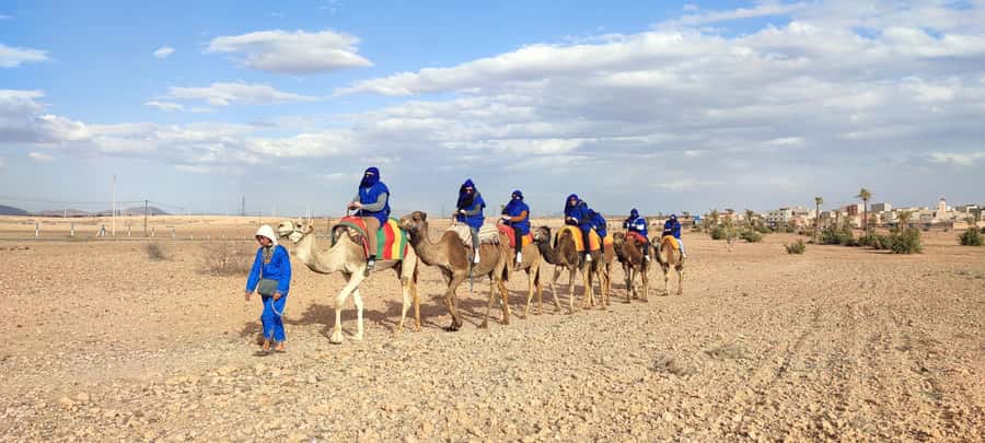 Marrakech: quad bike and Camel Ride in Marrakech - Quads and camels in Marrakech’s Palmeraie