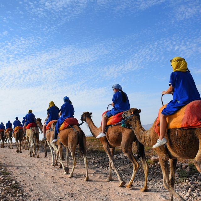 Marrakech: quad bike and Camel Ride in Marrakech - A short camel ride among the palms