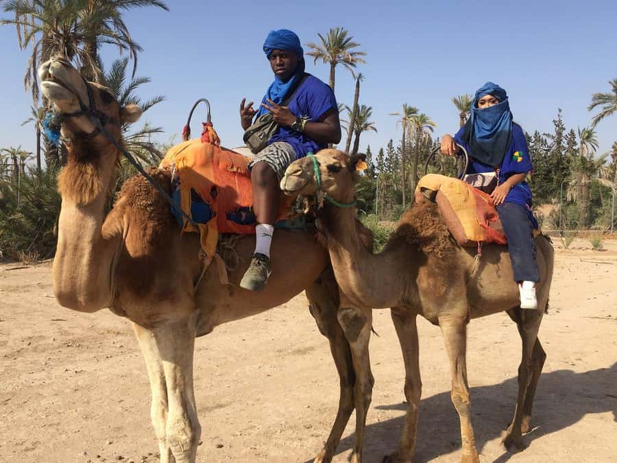 Marrakech: Quad Bike and Camel Ride Tour - Who should book this activity?