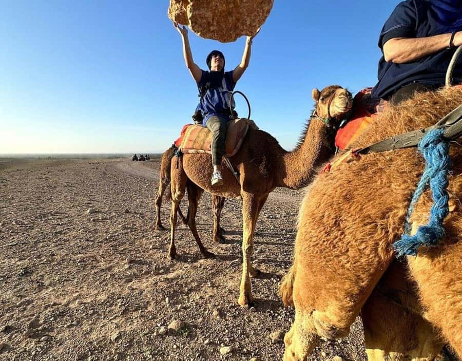 Marrakech : Quad Bike and Camel Ride with dinner in Agafay - Key points at a glance